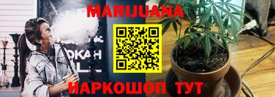 сатива Новодвинск