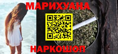 сатива Новодвинск