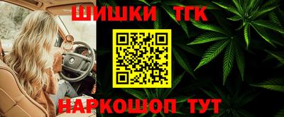 сатива Новодвинск
