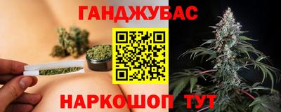 сатива Новодвинск