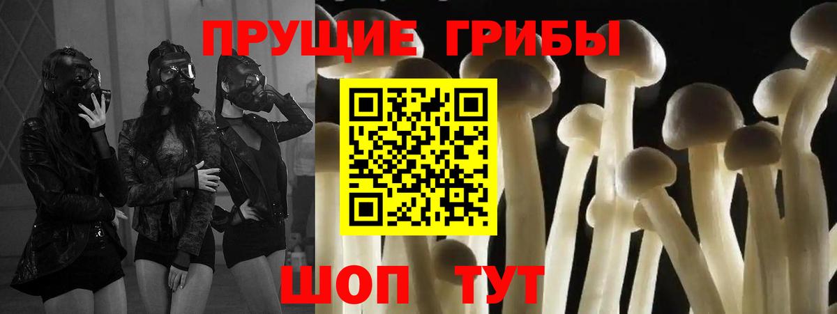 Вичуга  Псилоцибиновые грибы мухоморы  Вход с VPN 